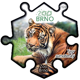 Magnetka č. 1124 Zoo Brno – Tygr sumaterský