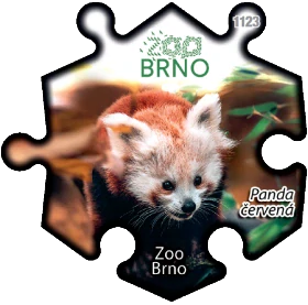 Magnetka č. 1123 Zoo Brno – Panda červená