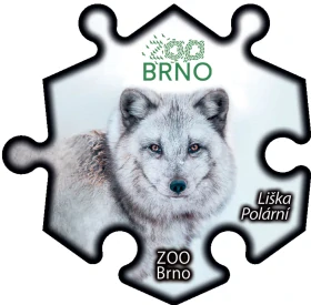 Magnetka č. 1336 Zoo Brno - Liška Polární