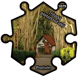 Magnetka č. 1079 Protivín – Třířadá platanová alej