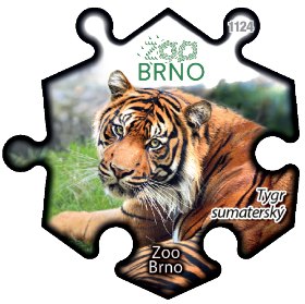 Magnetka č. 1124 Zoo Brno – Tygr sumaterský