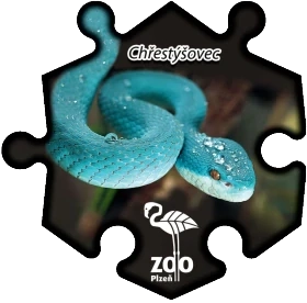Magnetka č. 1401 Zoo Plzeň – Chřestýšovec