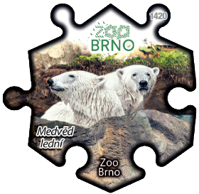 Magnetka č. 1420 Zoo Brno - Medvěd lední