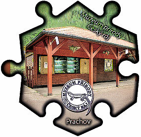 Magnetka č. 559 Muzeum přírody Český ráj